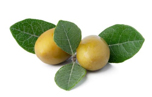 Flacon d’huile de jojoba pure et naturelle, disponible en 30 ml, 100 ml, 250 ml et 1 litre.